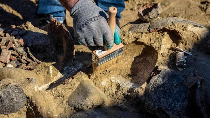 Фото иллюстративное