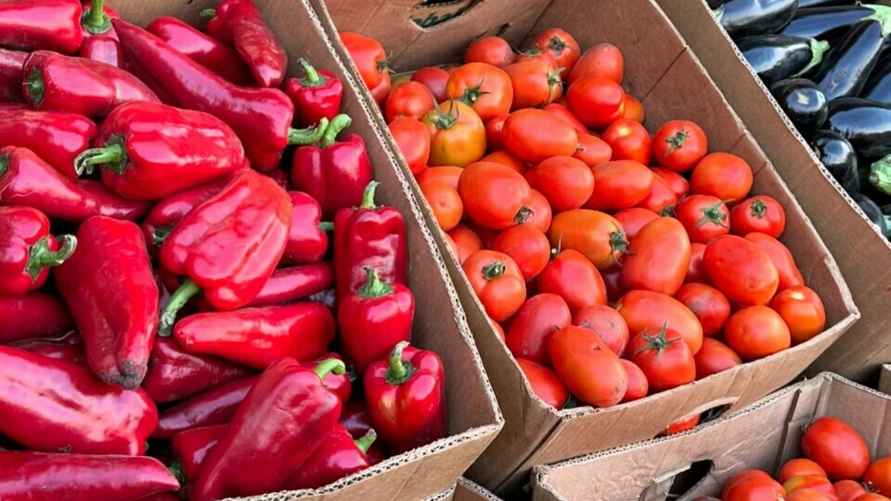 Фото: Facebook/Expobel торговый центр