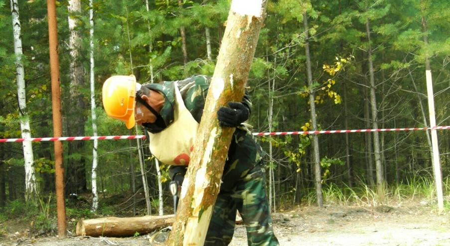 После получения образования молодого специалиста распределили в лесхоз,