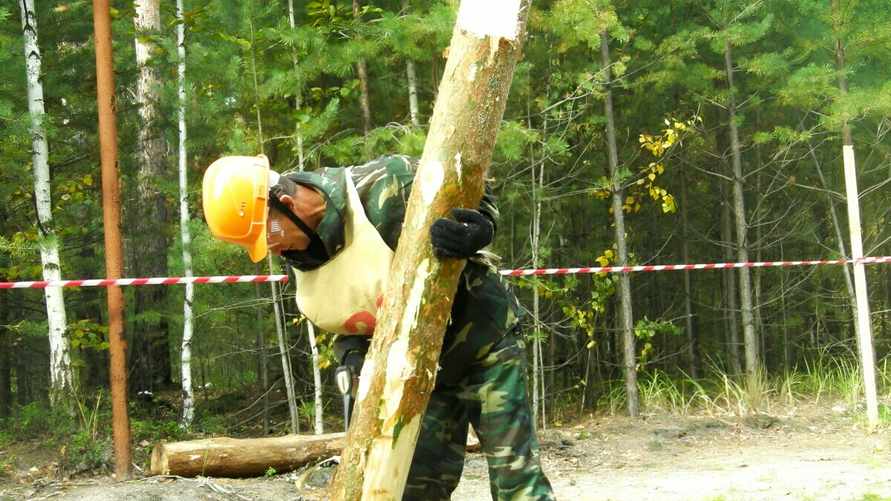 Фото носит иллюстративный характер