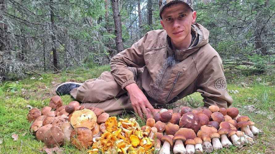 Фото: "Грибы: Грибные войска Беларуси"