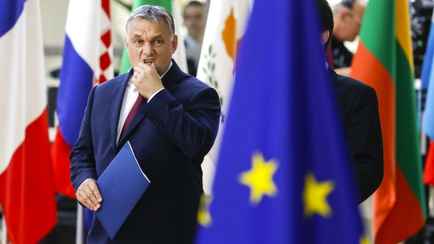 В ЕС призвали исключить Венгрию из «шенгена» из-за введения упрощённого въезда для белорусов и россиян