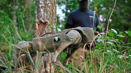 Робособаки ВСУ оказались британской разработкой с немецким тепловым камуфляжем — BILD