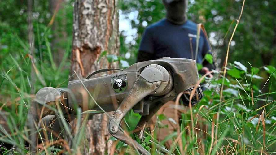 Робособаки ВСУ оказались британской разработкой с немецким тепловым камуфляжем — BILD