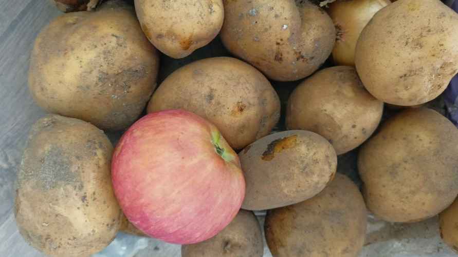 Фото: Telegraf.news