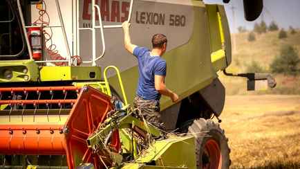 Госконтроль предложил создать реестр белорусских горожан для отправки на посевные и уборочные. Чем предложили завлекать?