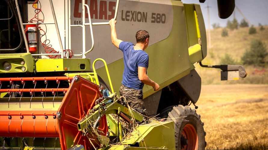 Госконтроль предложил создать реестр белорусских горожан для отправки на посевные и уборочные. Чем предложили завлекать?
