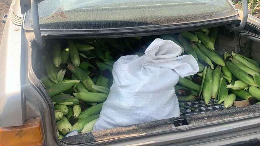 Фото: УВД Брестского облисполкома