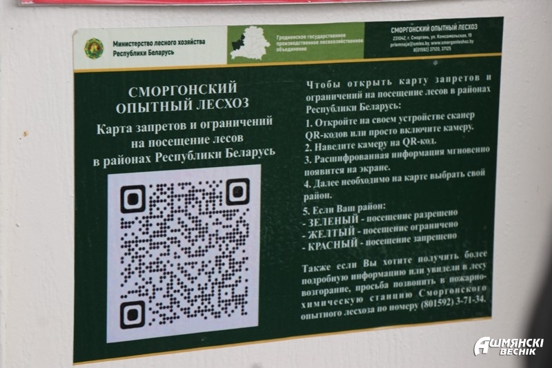 "Наша цель — не наказать" — В лесах Гродненщины начали устанавливать QR-коды. Зачем?