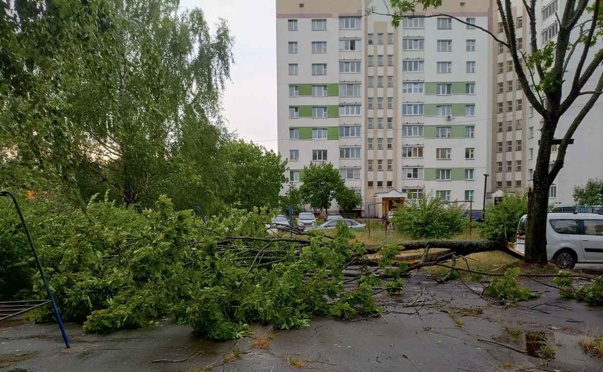 Белгидромет призвал белорусов не жаловаться на частый ветер. Как объяснил?