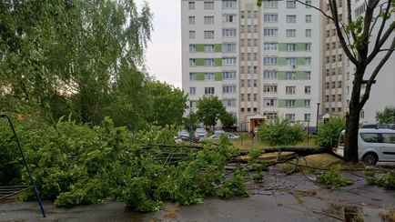 Белгидромет призвал белорусов не жаловаться на частый ветер. Как объяснил?