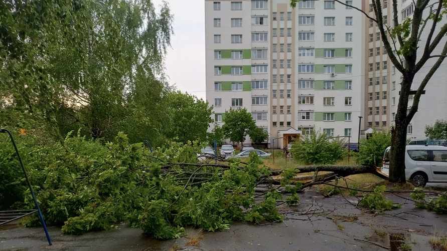 Белгидромет призвал белорусов не жаловаться на частый ветер. Как объяснил?
