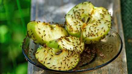 Как быстро избавиться от плодовых мошек в доме за 0 копеек? Вот как сделать самодельные ловушки