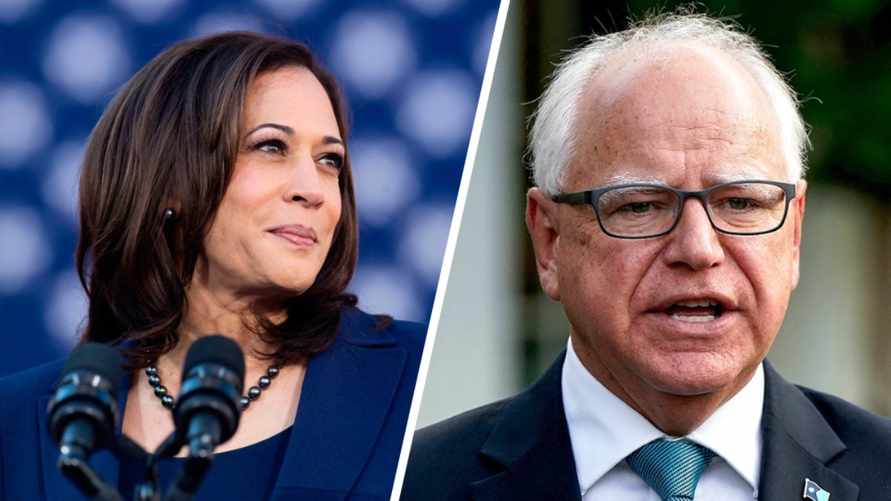 Харрис назвала своего кандидата в вице-президенты на выборах главы США