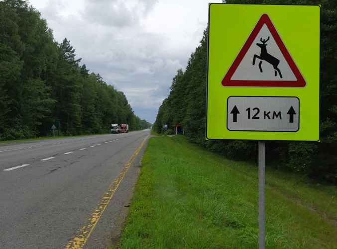 Фото: Березинский биосферный заповедник