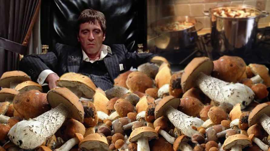 Фото иллюстрационное