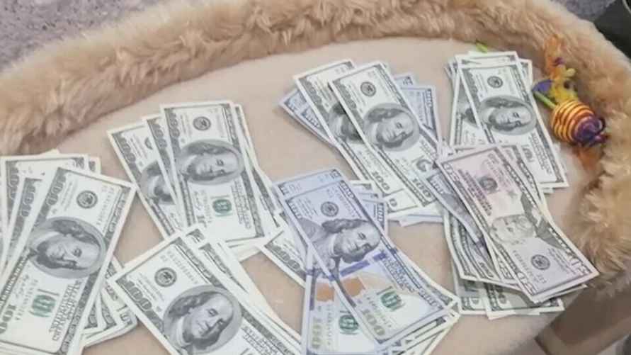 Скриншот: видео МВД Беларуси