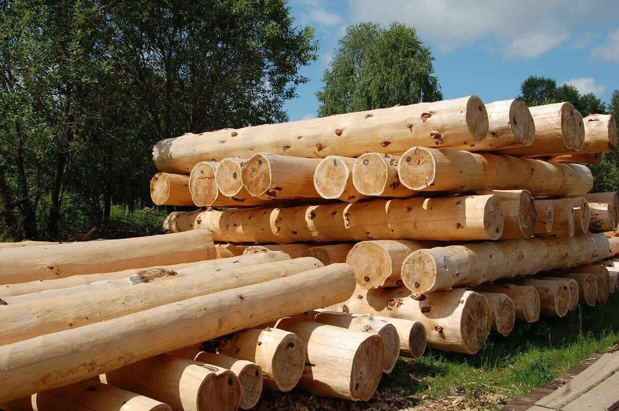 Лукашенко разрешил продавать белорусам брёвна для домов вне биржевых торгов