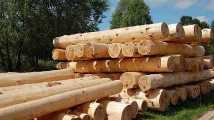 Лукашенко разрешил продавать белорусам брёвна для домов вне биржевых торгов