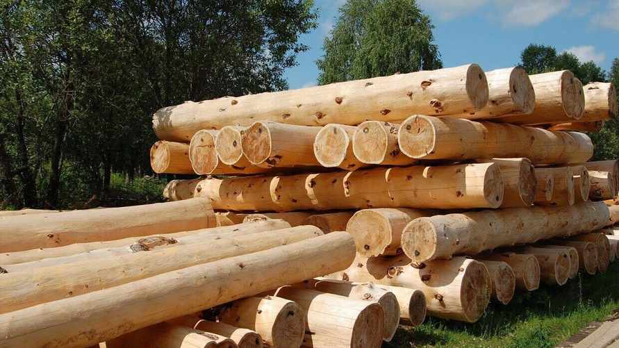 Лукашенко разрешил продавать белорусам брёвна для домов вне биржевых торгов