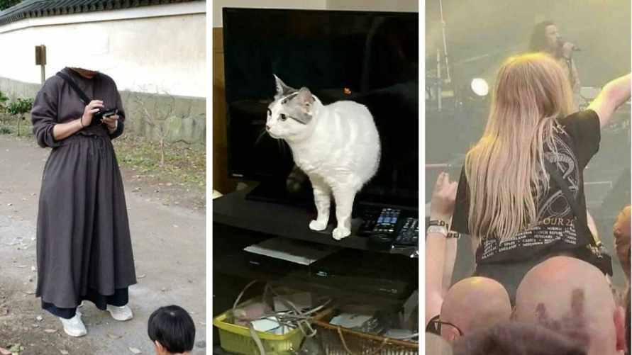 Эти 25 фотографий могут сломать мозг. Получится ли у вас понять с первого взгляда?