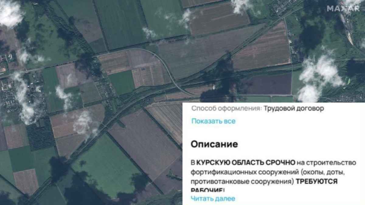 Россиянам предложили работу - копать окопы в Курской области. Какая зарплата?