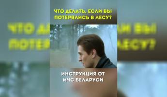 «А если это лес в Могилевской области?» — МЧС поделились правилами, если потерялись в лесу. Белорусы оценили «шедевр»