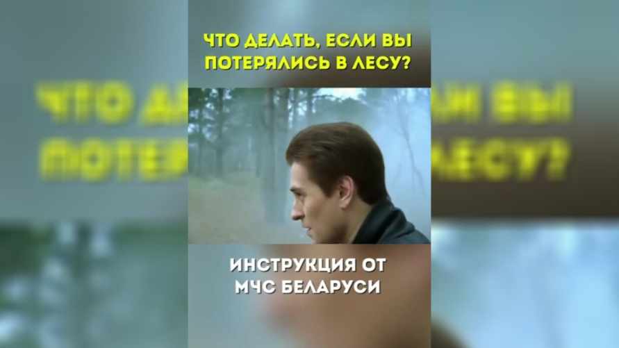 "А если это лес в Могилевской области?" — МЧС поделились правилами, если потерялись в лесу. Белорусы оценили "шедевр"