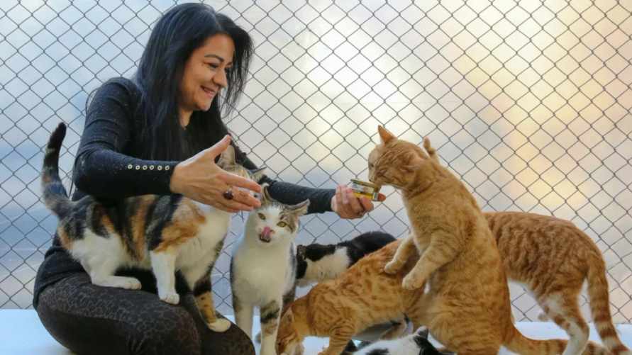 "Безумные кошатницы" существуют? Учёные выяснили, чем отличаются владельцы кошек и собак