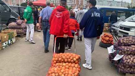 В МАРТ рассказали, сколько справок и документов нужно белорусам, чтобы продать картошку со своей дачи