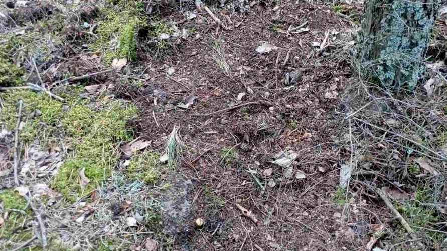 Фото Владимира Жука