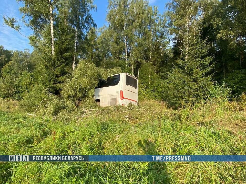 В Дзержинском районе автобус с 46 пассажирами врезался в деревья