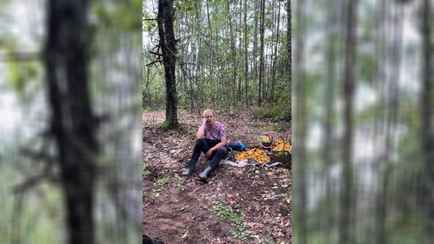 «Это от такой жадности?» — Белоруска решила спрятать в лесу собранный урожай лисичек. Зачем?