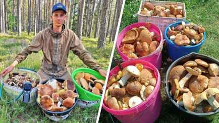 Волна рыжиков, опят и «яйца динозавра». Белорусы показали, что находили в лесах в последние дни