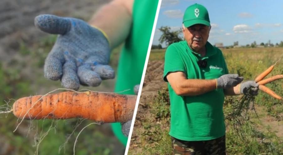 С приближением осени и сбором урожая вопрос о