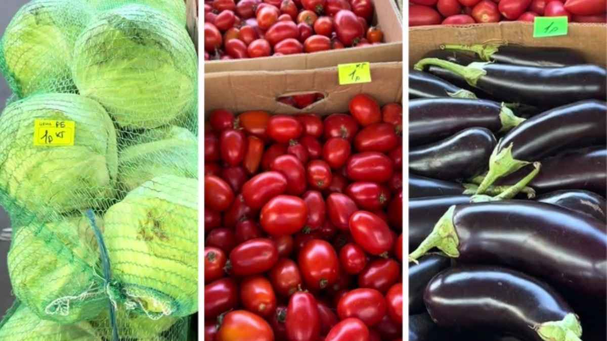 Помидоры, баклажаны и капуста - по 1 руб. за кг. Узнали, где белорусам выгодно закупиться овощами