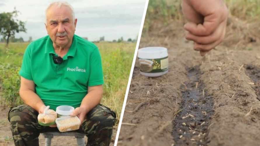 "Не оставляйте грядки пустыми" - Эксперт рассказал, что посадить на месте собранных овощей, чтобы потом не менять их местами