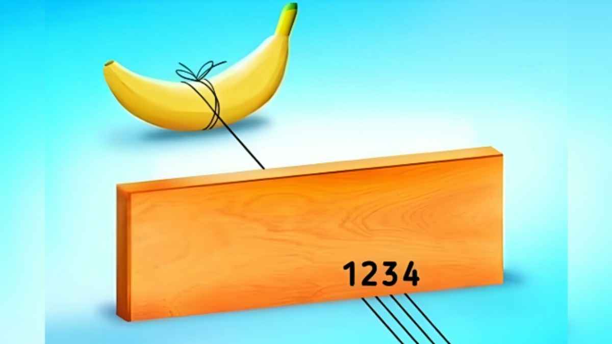 Эта головоломка с бананом покорилась только людям с высоким IQ. За какую верёвку потащить?