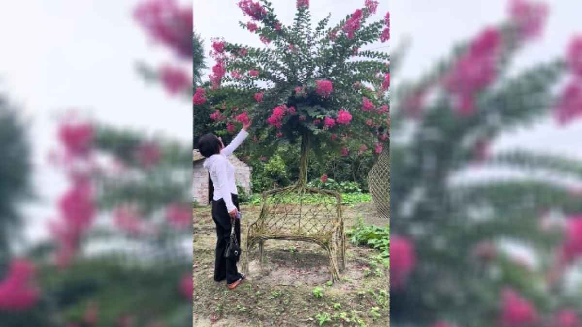 Видео с живым стулом собрало более полумиллиона просмотров в TikTok. Из чего вырастили?