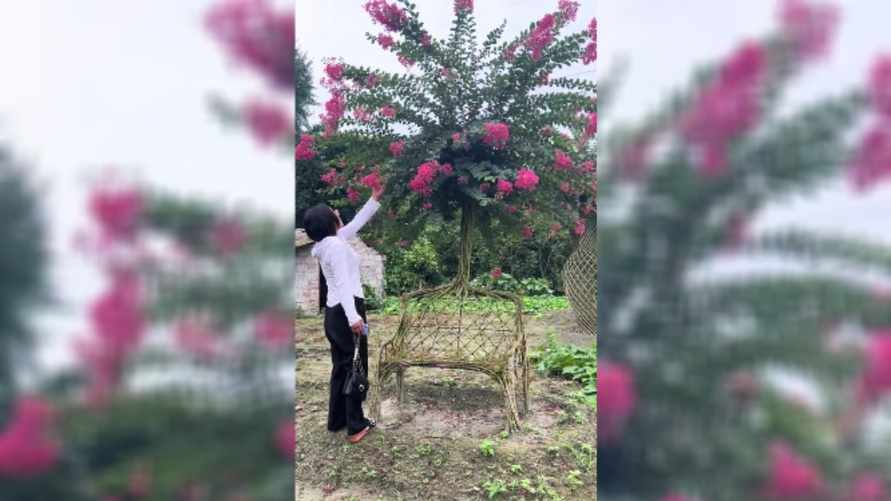 Видео с живым стулом собрало более полумиллиона просмотров в TikTok. Из чего вырастили?