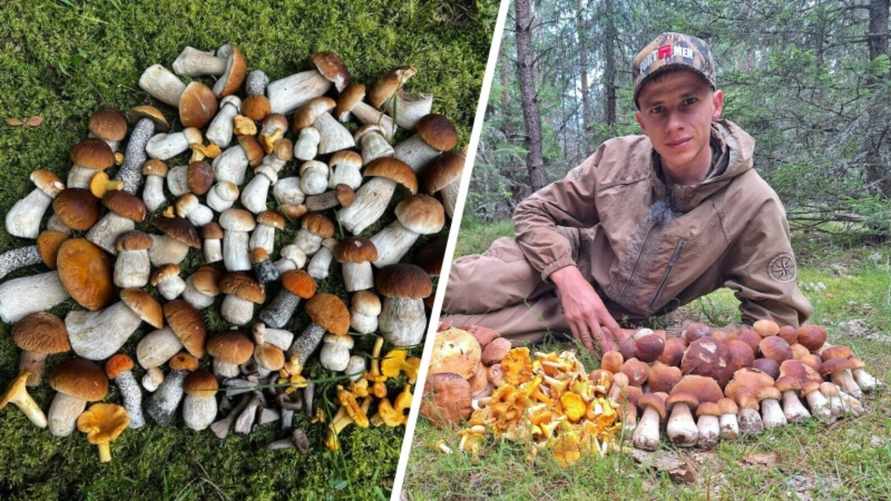 "Больше 170 боровиков"- Белорусские грибники рассказали, где собирают полные корзины белых. Червивых много?