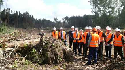 «Не просто собрать дрова» — Головченко призвал белорусов заработать на прошедшем шторме. Как?