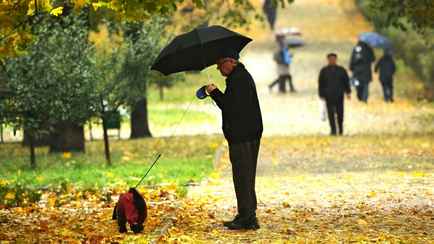 Когда в Беларусь придёт осень? Синоптики предупредили о «холоде из северной Атлантики»