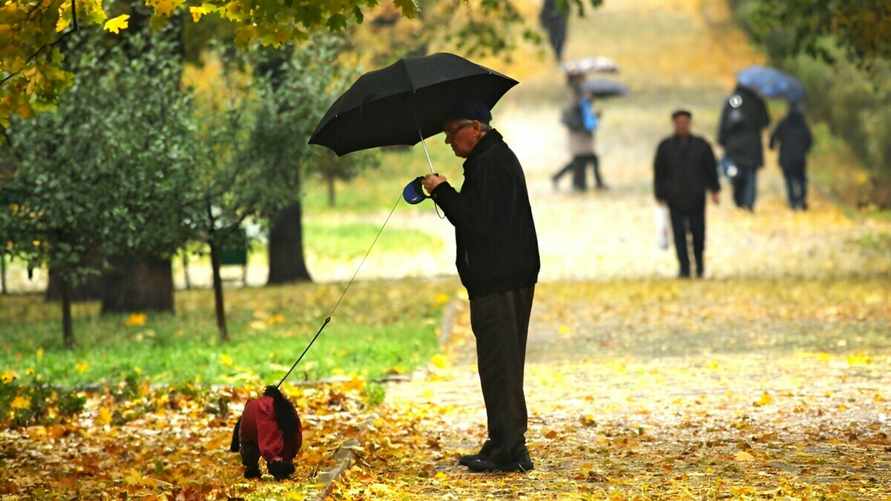 Когда в Беларусь придёт осень? Синоптики предупредили о "холоде из северной Атлантики"