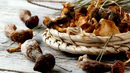 Эти виды грибов не следует сушить. А что насчёт старых и чуть-чуть червивых?