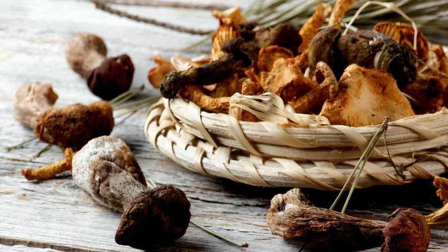 Эти виды грибов не следует сушить. А что насчёт старых и чуть-чуть червивых?