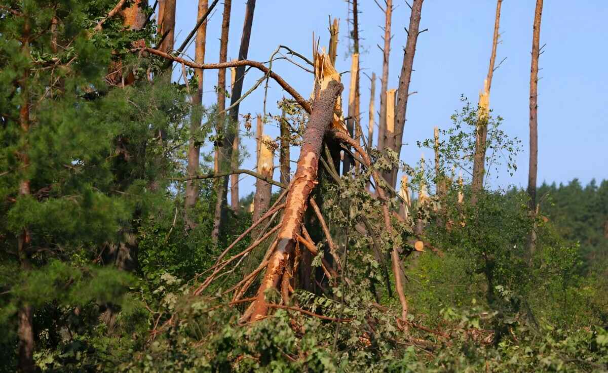 Фото: БелТА