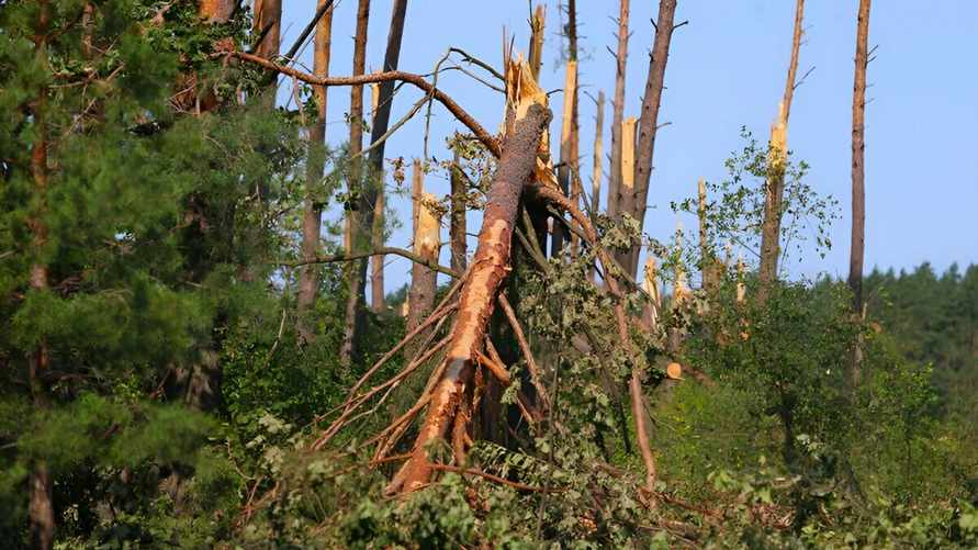 Фото: БелТА