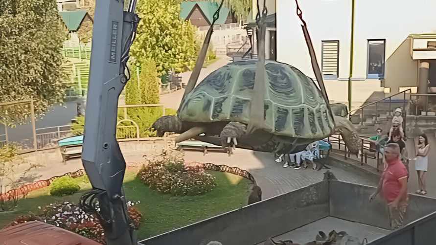 В Гродненский зоопарк привезли 3-метровую черепаху весом в 1 тонну