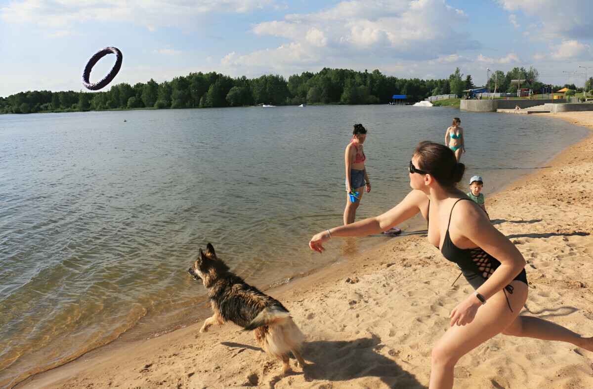 Штраф до 600 рублей. В МВД рассказали, можно ли белорусам брать на пляж собак